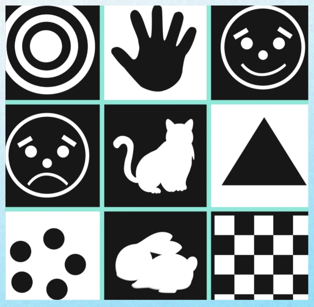 209481df-d372-4945-afa5-68b4050d5d91.png